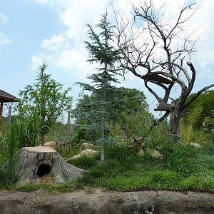 Tiger Trek - Red Panda Exhibit
