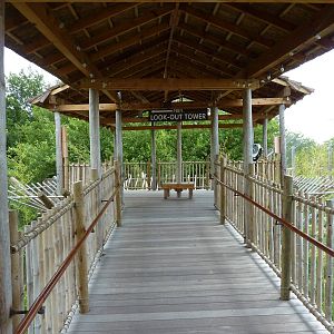 Tiger Trek - Tiger/Deer Overlook