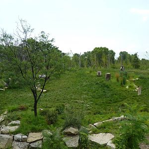 Tiger Trek - Tiger Exhibit