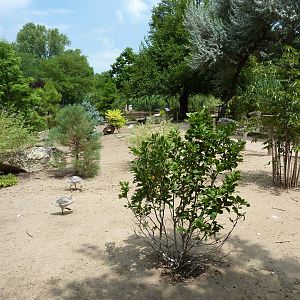 Asia - Walk-Through Bird Zone