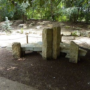 Asia - Walk-Through Bird Zone