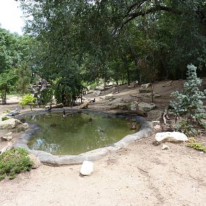 Asia - Walk-Through Bird Zone