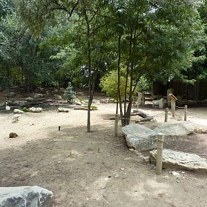 Asia - Walk-Through Bird Zone