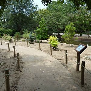 Asia - Walk-Through Bird Zone