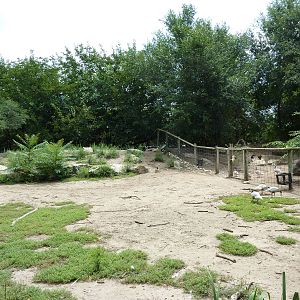 Asia - Walk-Through Bird Zone