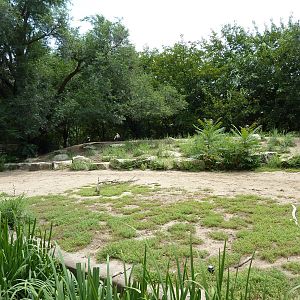 Asia - Walk-Through Bird Zone