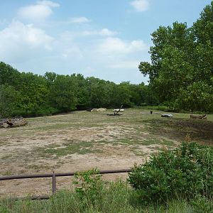 North America - Multi-Acre Bison Paddock