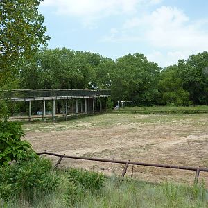 North America - Multi-Acre Bison Paddock