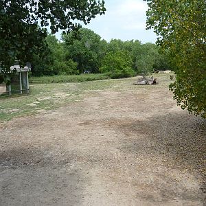 North America - Multi-Acre Bison Paddock