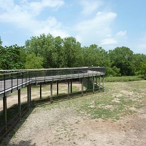 North America - Multi-Acre Bison Paddock