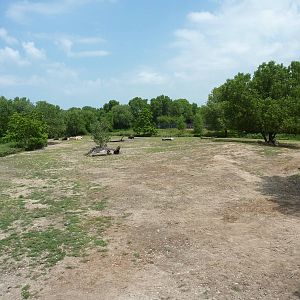 North America - Multi-Acre Bison Paddock
