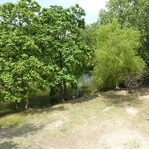 North America - Pronghorn Antelope/Sandhill Crane Exhibit