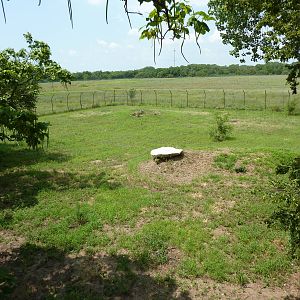 North America - Multi-Acre Mexican Gray Wolf Exhibit
