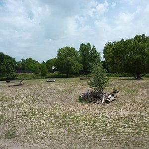 North America - Multi-Acre Bison Paddock