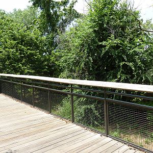 North America - Multi-Acre Mexican Gray Wolf Exhibit