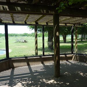 North America - Rocky Mountain Elk Enclosure