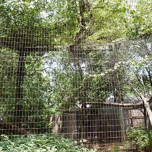 North America - Porcupine Exhibit