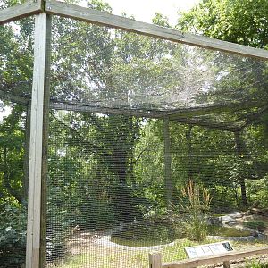 North America - Waterfowl Exhibit