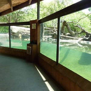 North America - River Otter Exhibit