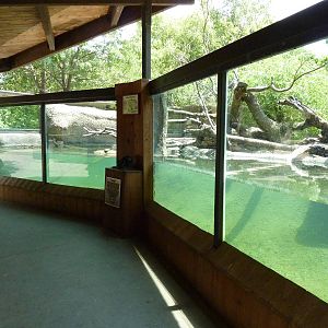 North America - River Otter Exhibit