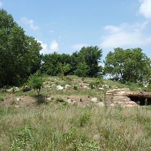 North America - Grizzly Bear Exhibit