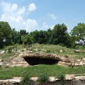 North America - Grizzly Bear Exhibit