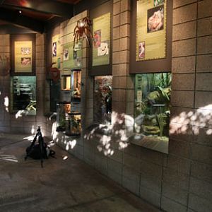 summer nighttime zoo, august 6, 2010