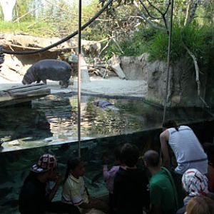 summer nighttime zoo, august 6, 2010