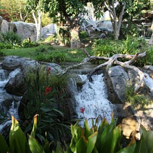 summer nighttime zoo, august 6, 2010