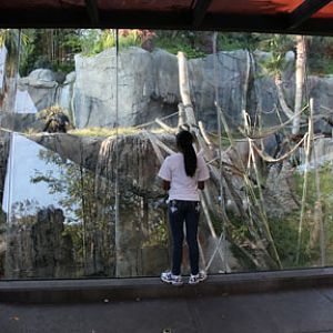 summer nighttime zoo, august 6, 2010