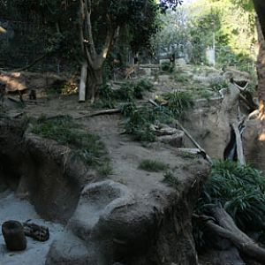 summer nighttime zoo, august 6, 2010