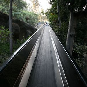 summer nighttime zoo, august 6, 2010