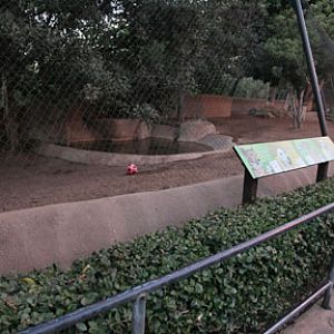 summer nighttime zoo, august 6, 2010