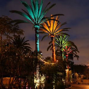summer nighttime zoo, august 6, 2010