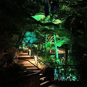 summer nighttime zoo, august 6, 2010