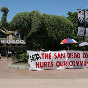 Protesters at San Diego Zoo