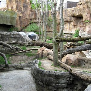 Hubbard Gorilla Valley