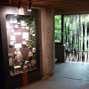 Jungle Building - Entrance