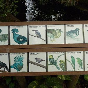 Jungle Building -Signage