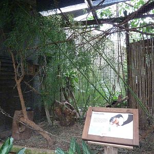 Jungle Building -Prevost's Squirrel Exhibit