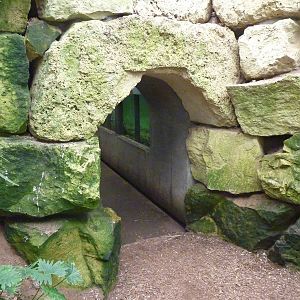 Jungle Building -Tunnel Entrance