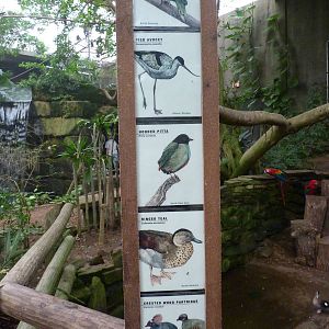 Jungle Building -Signage