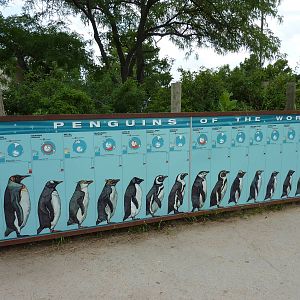 Penguin Cove - Signage