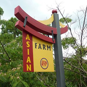 Children's Farms - Asian Farm