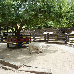 Children's Farms - Asian Farm
