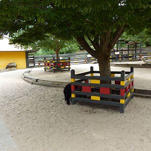 Children's Farms - Asian Farm