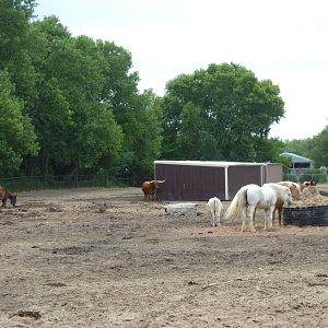 Children's Farms - American Farm