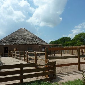 Children's Farms - African Farm