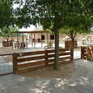 Children's Farms - African Farm