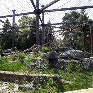 Primate Park